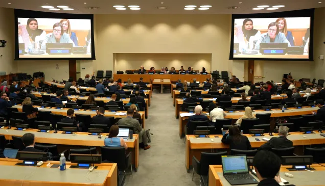 UNGA80 SE on Middle East