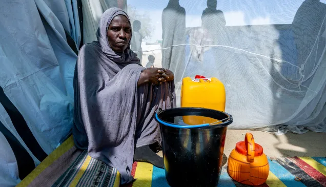 Hawa Adam Abdallah Charfadine, 35 (centre), collected water from a borehole installed by the ICRC near the Tiné transit site, Wadi Fira, Chad.