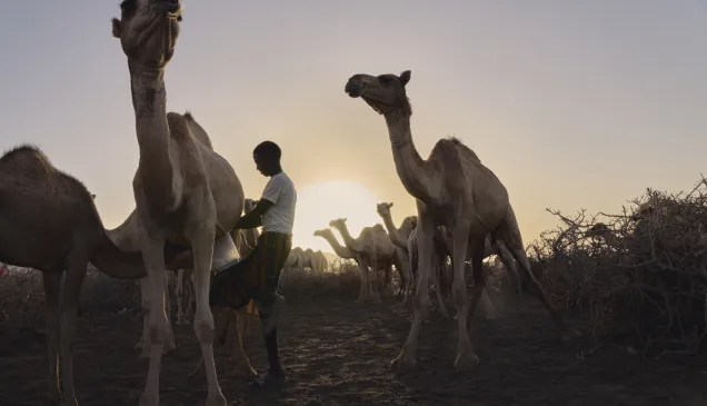 Somalia Drought 