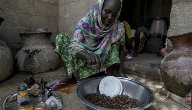 This 57-year-old woman fled her village and the Lake Chad crisis with her seven children after a day of fighting. Today, she makes and sells incense and frangrant oils in Maroua, where she settled. The ICRC granted her cash money to support her business.