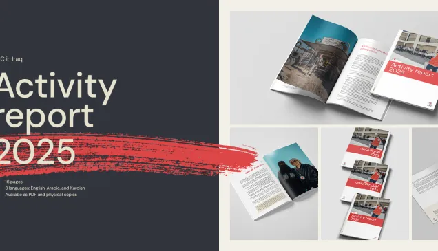 Mockups of the 'Activity Report, Iraq 2025,' showing a professional design with the title prominently displayed on the cover.