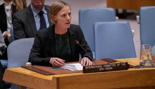 LCA-UNSC-OD-on-WPS-October-2026.jpg