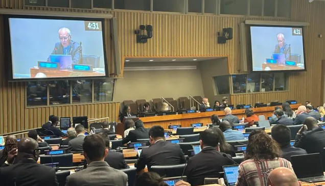 Treaty on the Non-Proliferation of Nuclear Weapons: 2024 session of the ...