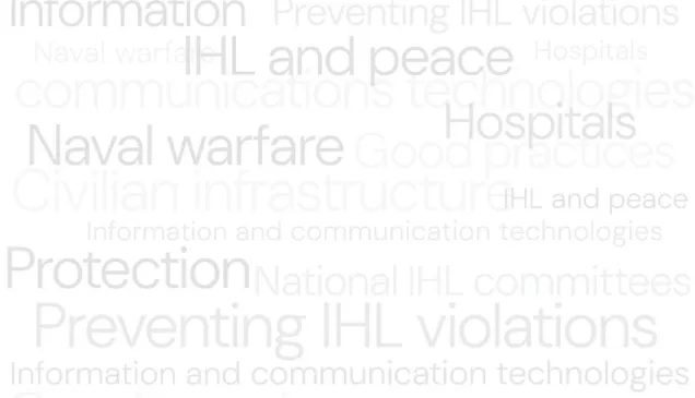 Global Initiative to Galvanize Political Commitment on International Humanitarian Law: Progress Report