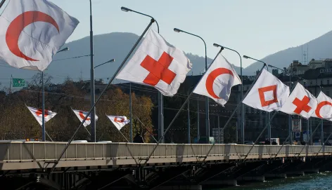 Flags fly at the Mont-Blanc bridge in Geneva, marking the 30th International Conference of the Red Cross and Red Crescent.
