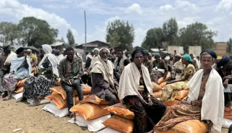 Seeds and fertilizers distribution in Ayna Bugna, North Wollo, Amhara region.