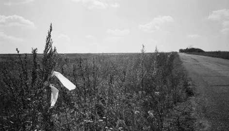 In Ukraine, white ribbons mark fields that are no longer safe, littered with explosive hazards.