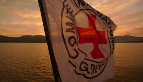 ICRC flag