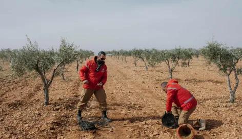 Siria, Alepo, 2026. Explosivos recolectados por personal especializado capacitado por el CICR durante una operación de remoción de armas en la aldea de Barlahin, en Alepo.