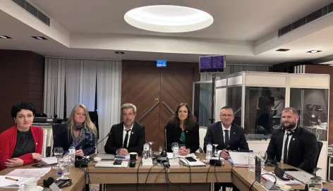 Members of the coordination mechanism