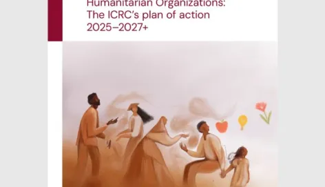 Cover image of Implementing the Climate and Environment Charter for Humanitarian Organizations: The ICRC’s plan of action 2025–2027+
