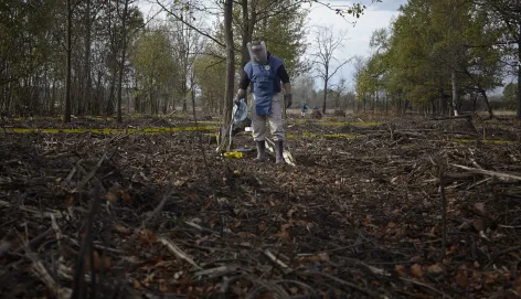 Domaljevac-Šamac municipality, Grebnice. A mine clearance worker from the Norwegian People's Aid (NPA) Mine Action Programme at work.