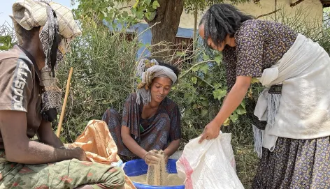 Tigray_seed & fertilizer-distribution.jpg