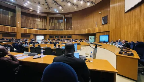 1350th sitting of the African Union Peace and Security Council 