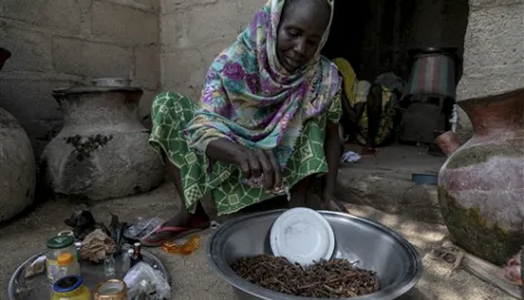 This 57-year-old woman fled her village and the Lake Chad crisis with her seven children after a day of fighting. Today, she makes and sells incense and frangrant oils in Maroua, where she settled. The ICRC granted her cash money to support her business.