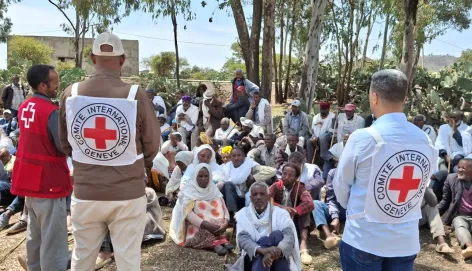 ICRC staff, seen from behind wearing Red Cross emblems, stand before a large seated crowd gathered outdoors.