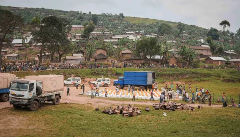 Democratic Republic of the Congo: More than 80,000 people receive food and seed 