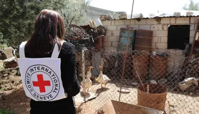 ICRC_Weapon contamination inspector