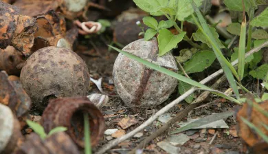 ICRC_Xieng Khouang province. Piles of rusted war material including bombs, mortars, and unexploded submunitions lay in a field near a metal foundry. Photographer : HOLMES, JIM