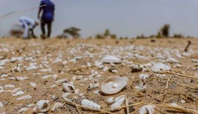 Homens analisam um terreno árido.
