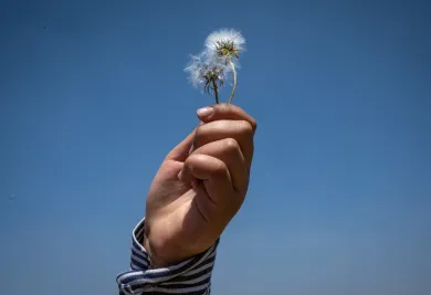 A hand holding flower