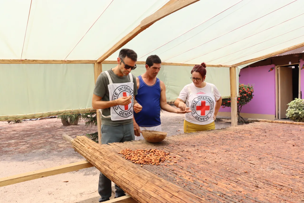 Personal del CICR analiza la cosecha de un productor de cacao.