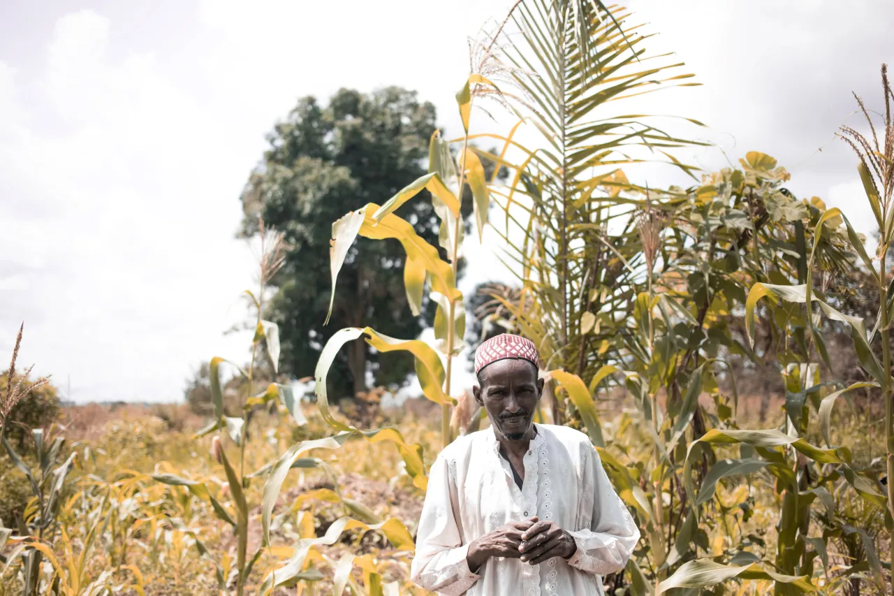 A man in a field in bright sunshine checking his crops