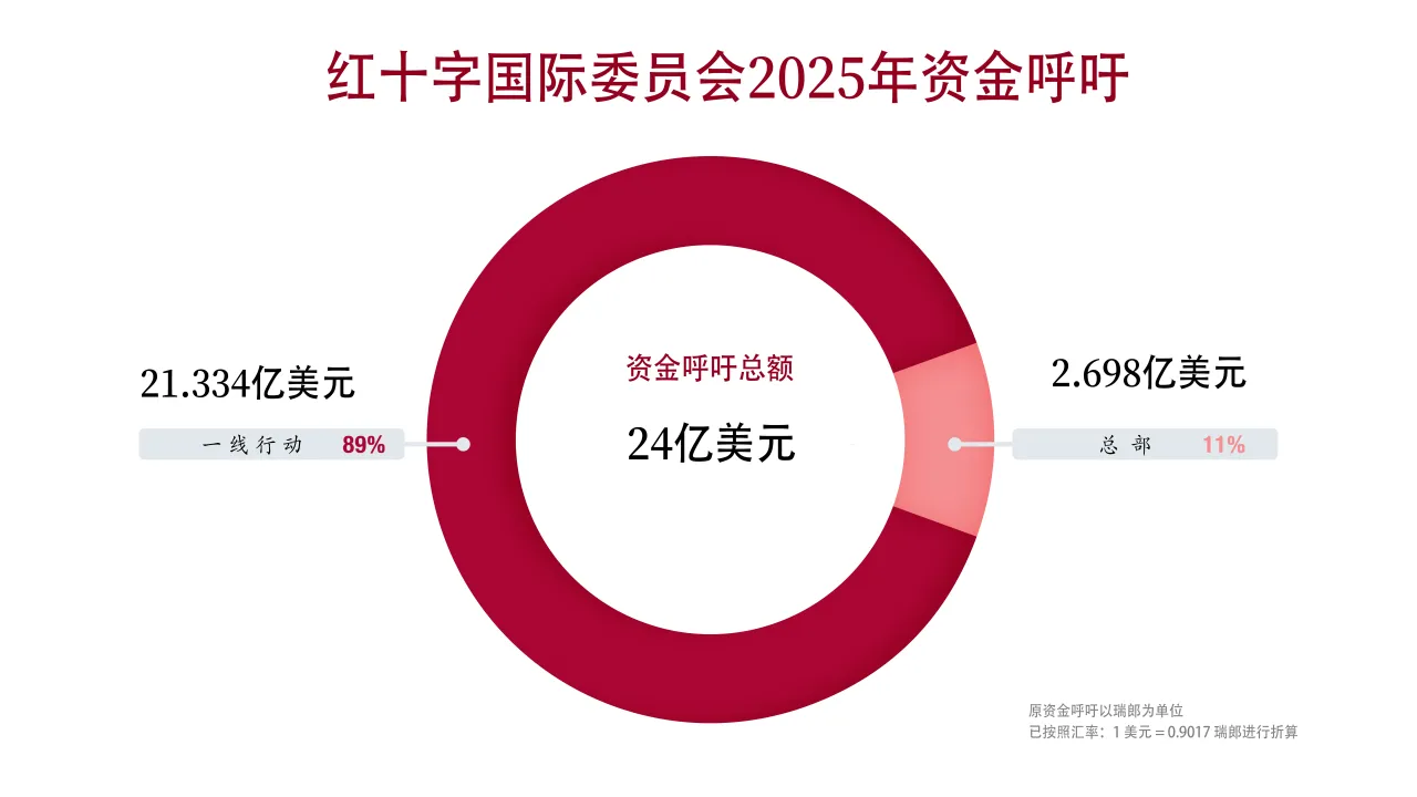 红十字国际委员会2025年资金呼吁