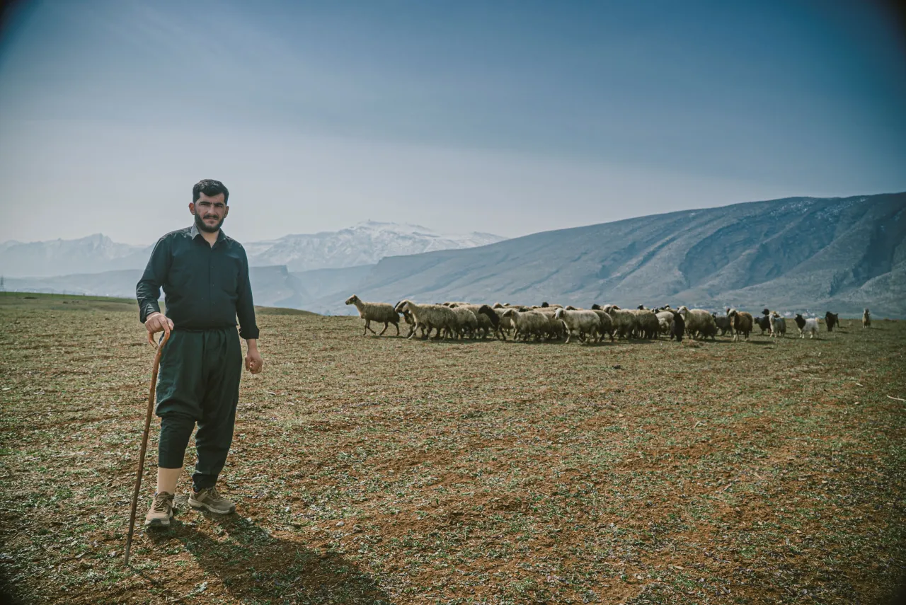 Omar stands on a hillside watching over his sheep in a vast, mountainous landscape with snow-capped peaks in the distance, in Iraq.