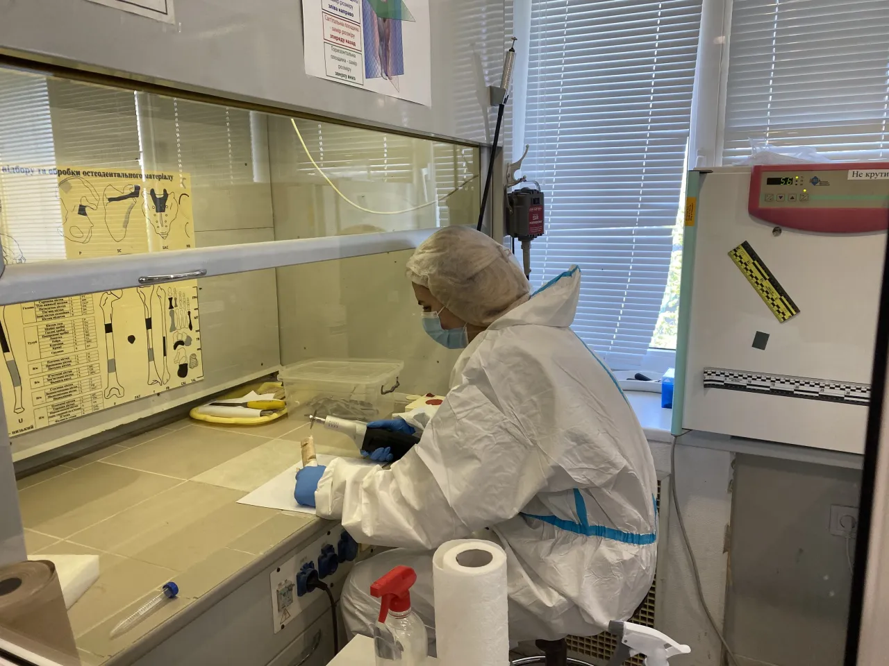 Nataliia, the chief forensic expert at SSRFC comparative DNA testing department. Pat Griffiths/ICRC