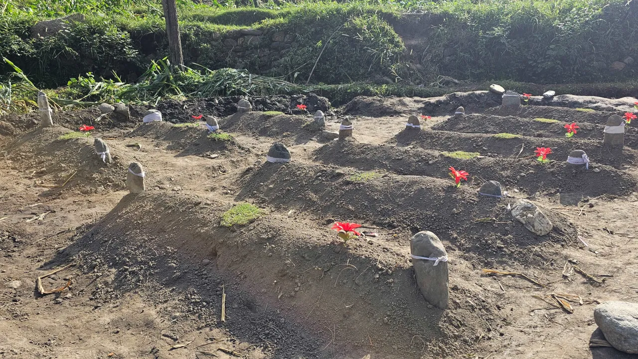 A row of freshly dug graves marked with small stones and red flags, set in a rural area with green vegetation in the background.