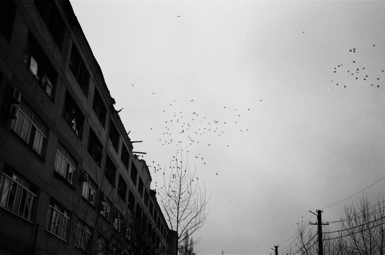 Pigeons roost in the wreckage of a hospital damaged by strikes in Petropavlivka, Ukraine.