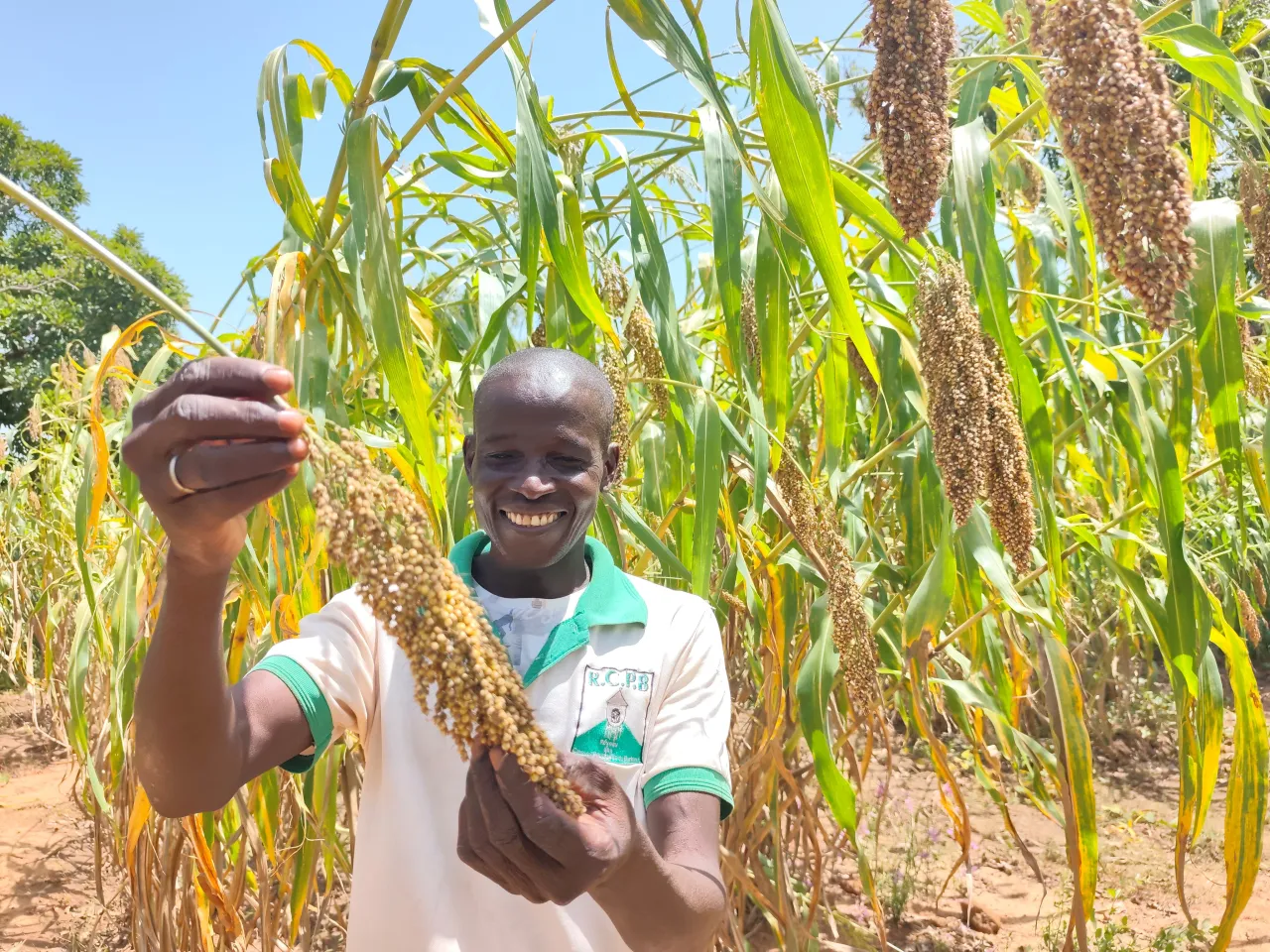 Illy RAM Félix, agriculteur