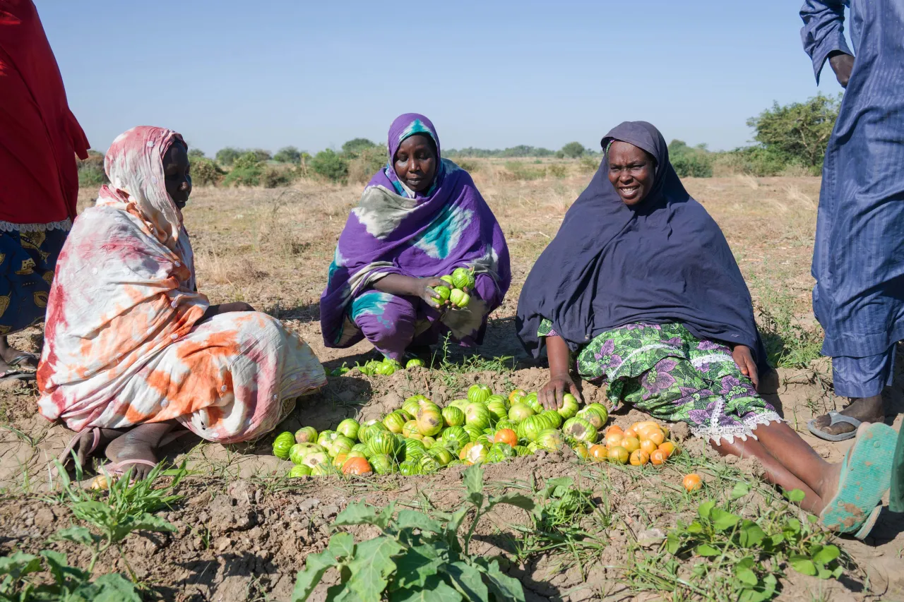 Des femmes autour de leurs récoltes. Franck Djigui/CICR