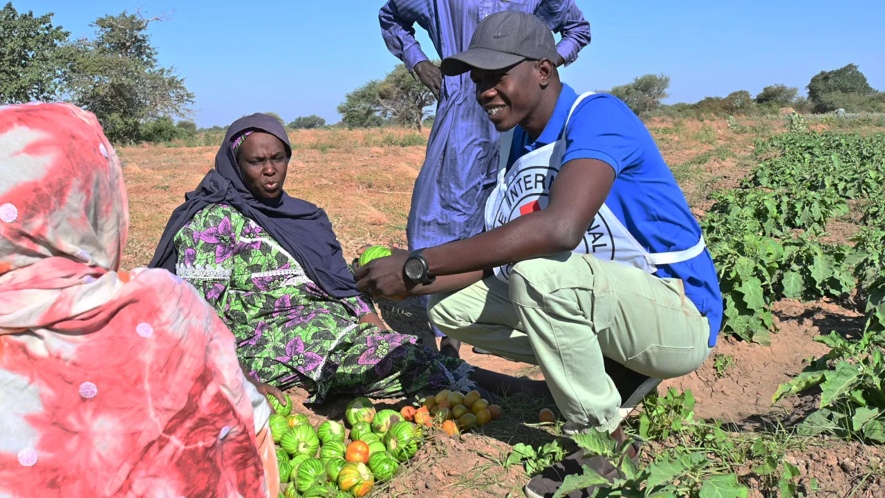 Un staff du CICR avec des femmes. Franck Djigui/CICR