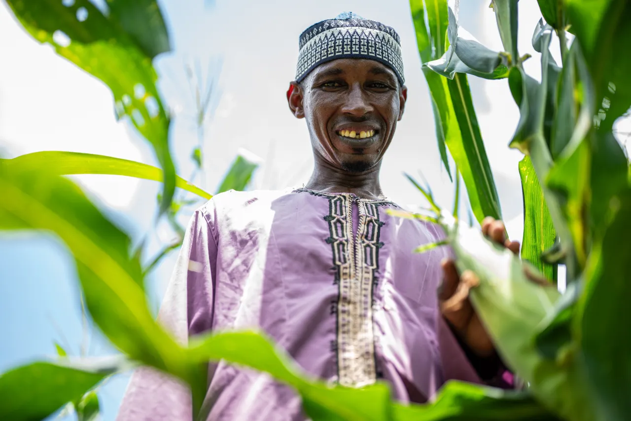 Oumarou Sido, agriculteur, pose dans son champ de maïs. 