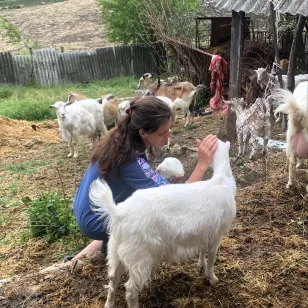 Oksana, the cheesemaker tends to the goats. ICRC