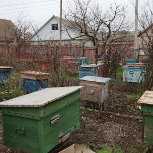 Bee hives in a row.