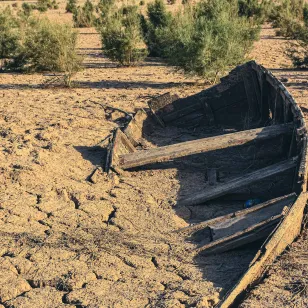 مسابقة التغير المناخي (2022) - الصورة 05