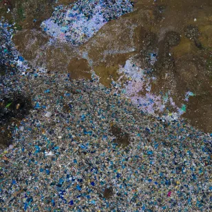 مسابقة التغير المناخي (2022) - الصورة 09