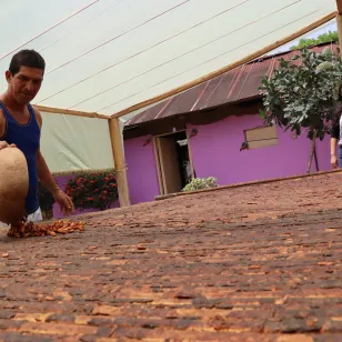 Hombre con su producción de cacao al lado del personal del CICR.