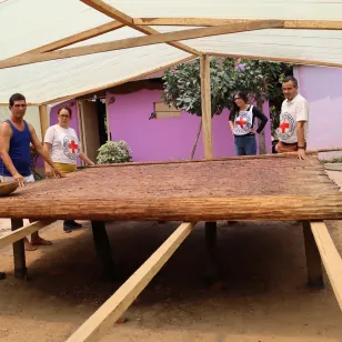 Personal del CICR y productores de cacao trabajando en el proyecto.