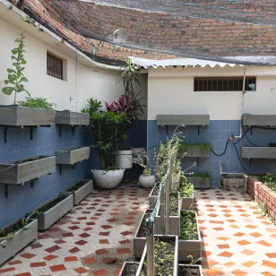 Huerta orgánica dentro de la casa. 