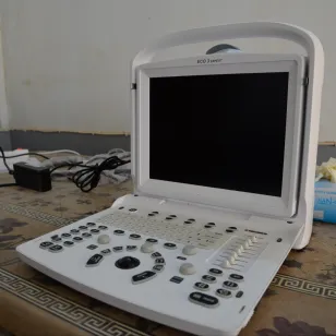 ICRC Rawa Vet Distribution 