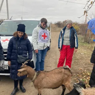 Ukraine field visit under ICRC Warsaw Regional Delegation