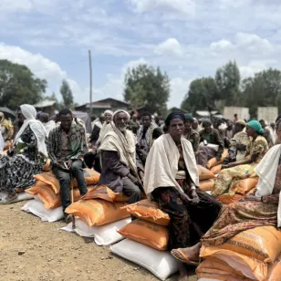Seeds and fertilizers distribution in Ayna Bugna, North Wollo, Amhara region.