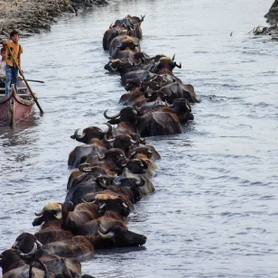 ICRC-IRCS Photo Contest: 2nd place