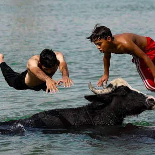 ICRC-IRCS Photo Contest