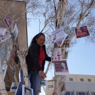 El Árbol de la Esperanza en la Plaza de los Tres Poderes de Mexicali es un memorial impulsado por familiares de personas desaparecidas de Baja California