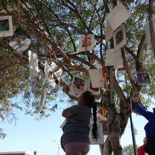 En el Parque Revolución de Ensenada, Baja California se encuentra el Jardín de la Memoria con un árbol donde colectivos colocan las fichas de personas desaparecidas